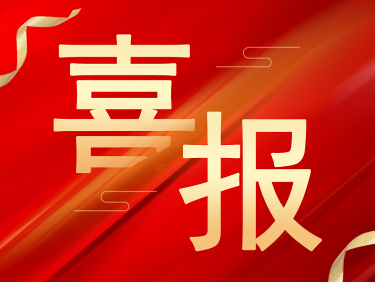 喜报：半岛官方(中国)总部荣获山东省“专精特新”、“创新型”中小企业荣誉称号